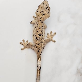 벨르