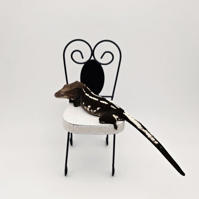 아잔틱 화이트스팟