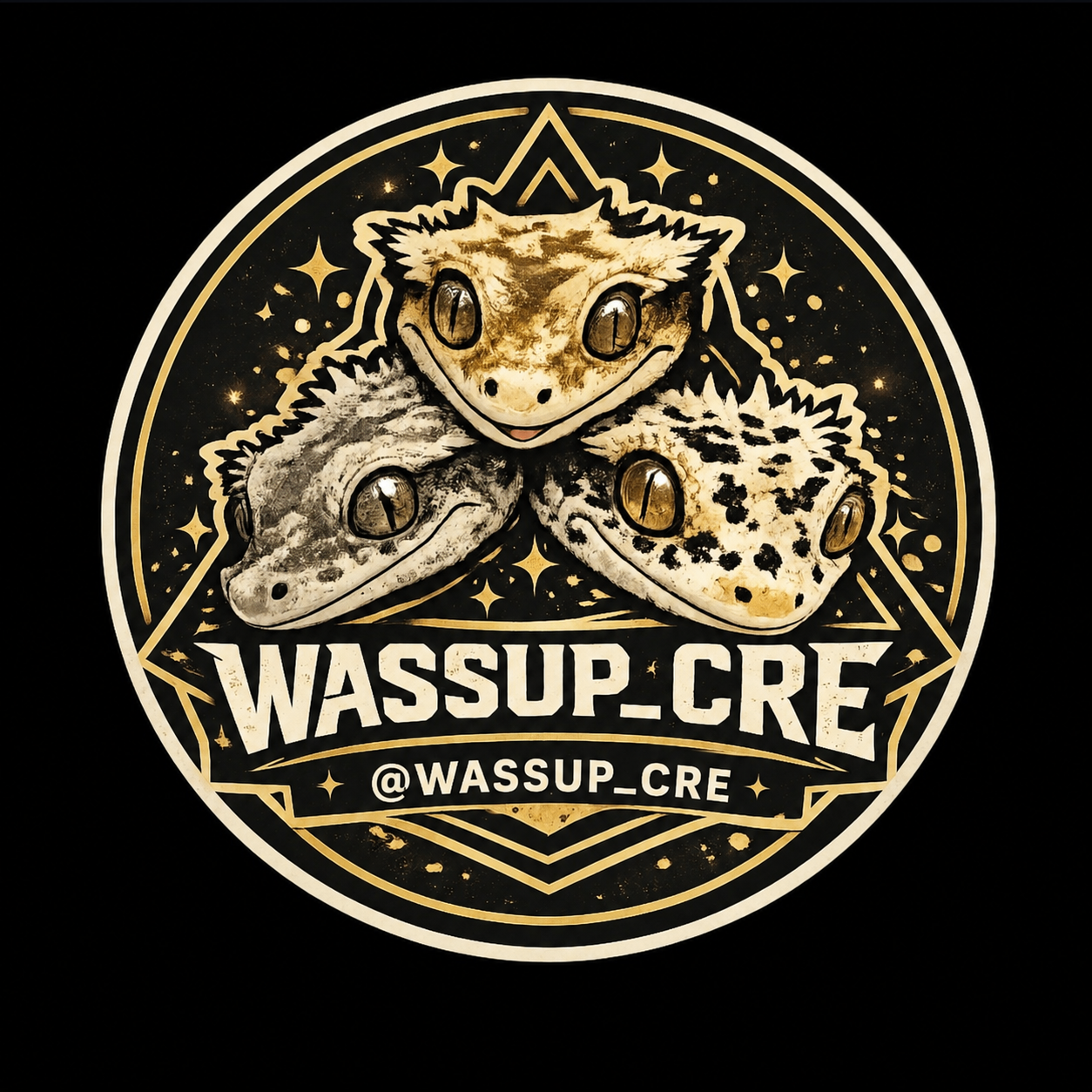 WASSUPCRE와썹크레