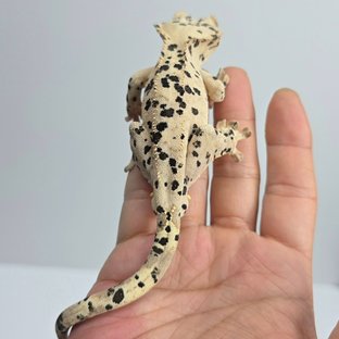 병태