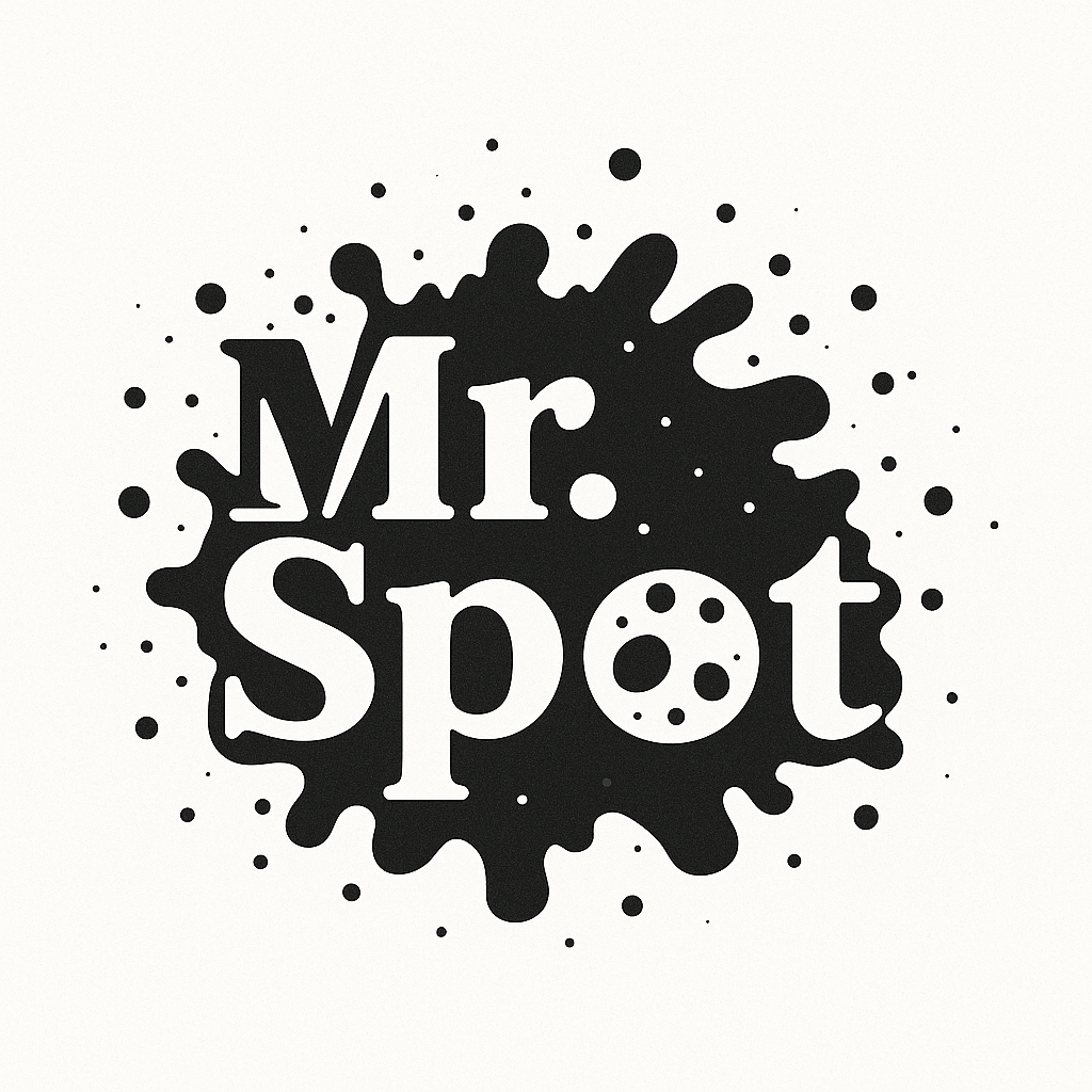 미스터스팟