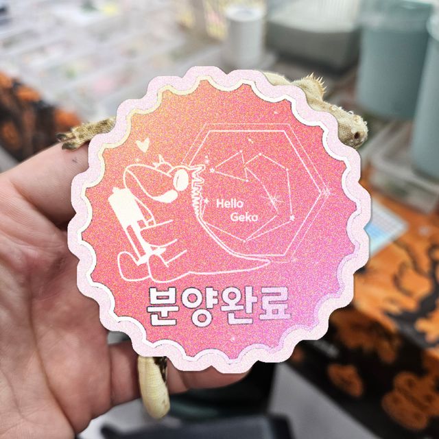 노멀