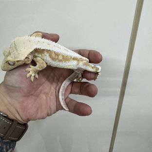 떡뻥