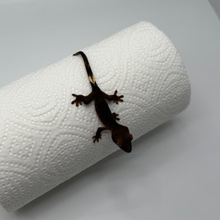 알티 챠콜