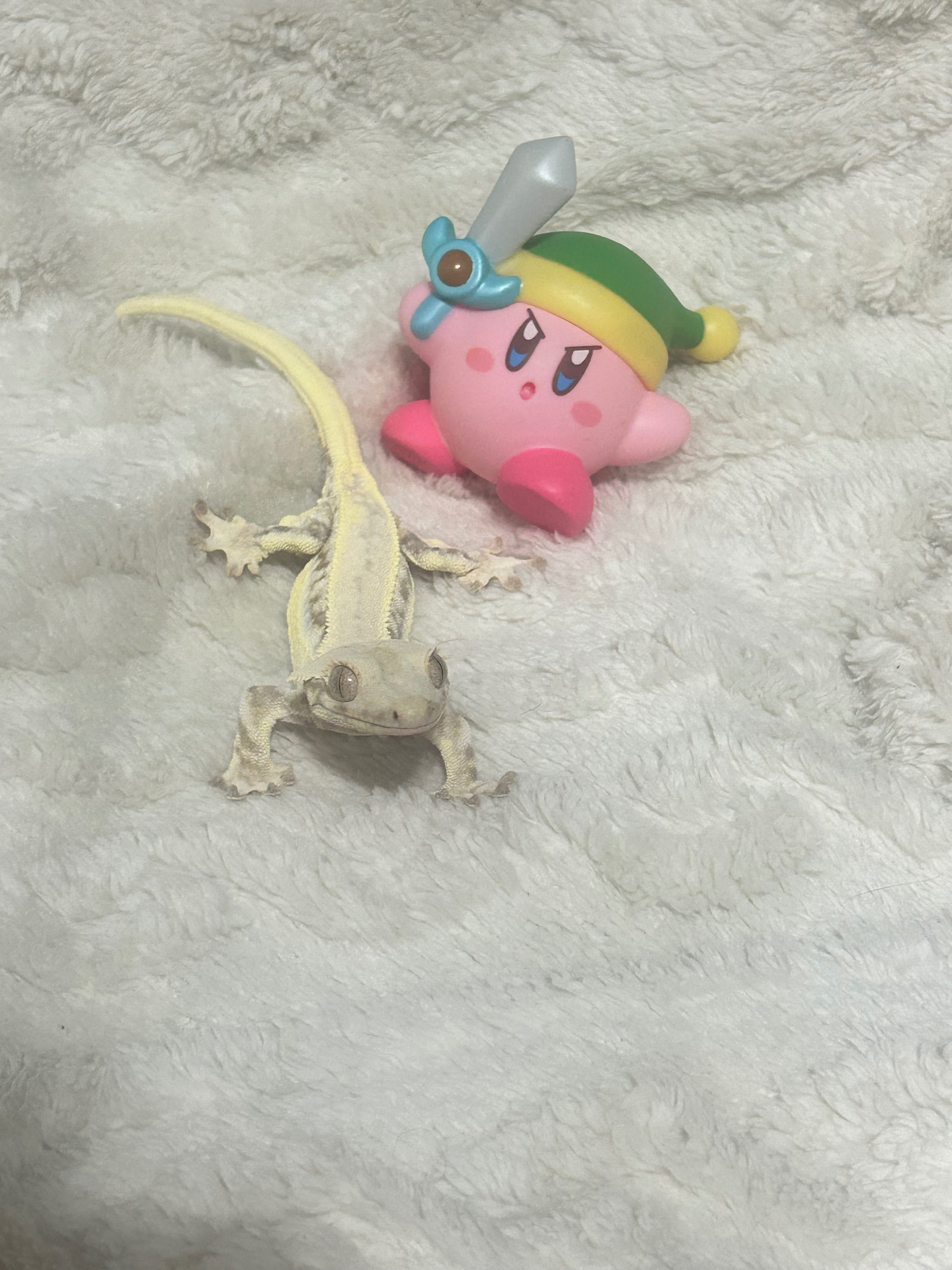 안경만두