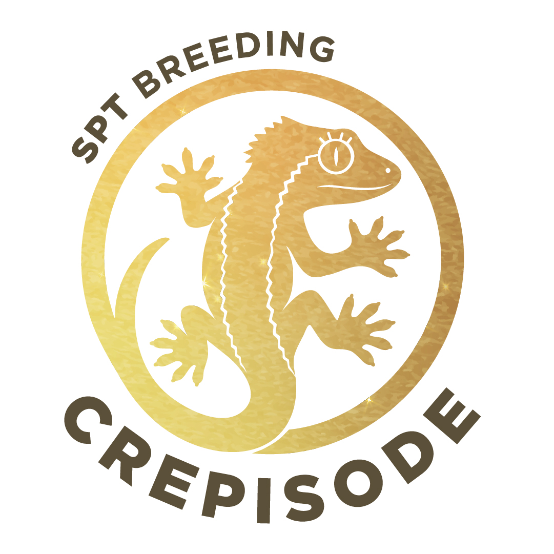 크레피소드crepisode