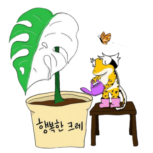 트라이
