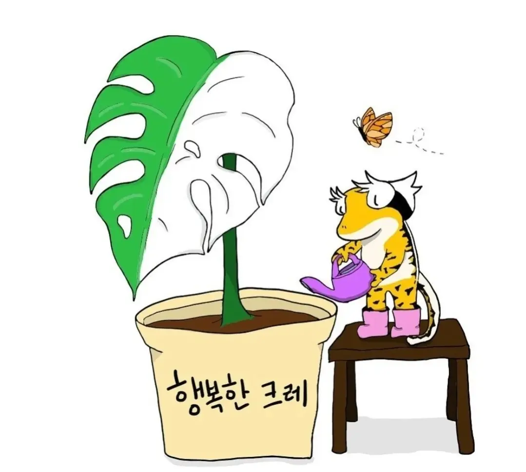 행복한크레