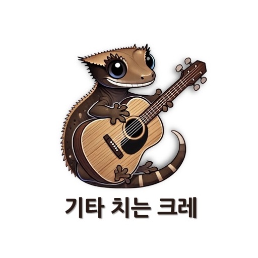 기타치는크레