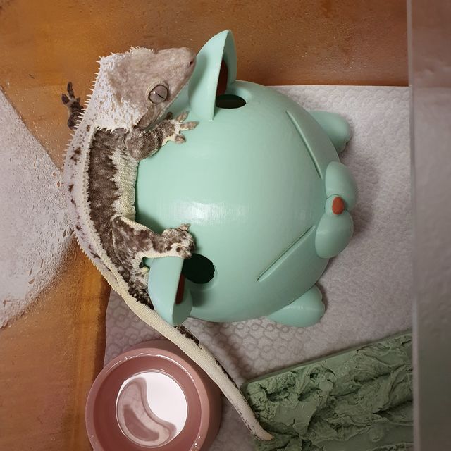 릴잔틱