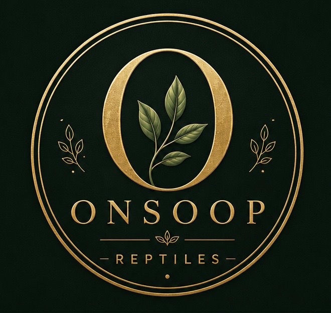 온숲