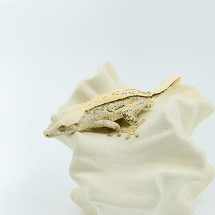 노멀 핀스트라이프 쿼드