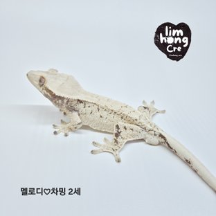 멜차4