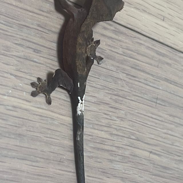 팬텀
