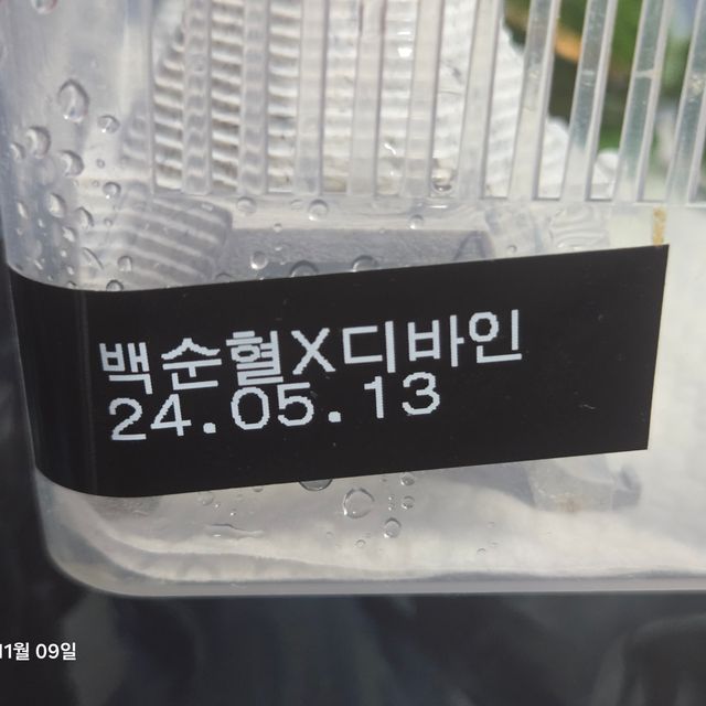 노멀 화이트스팟