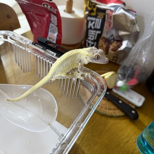 프라푸치노