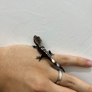 아잔틱