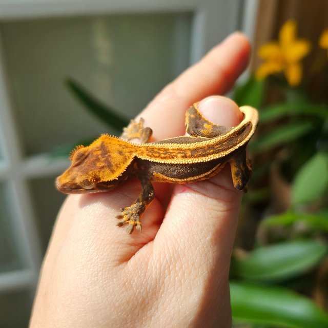 엠티백 슈퍼스트라이프