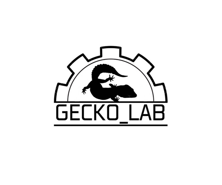 GECKOLAB김도원