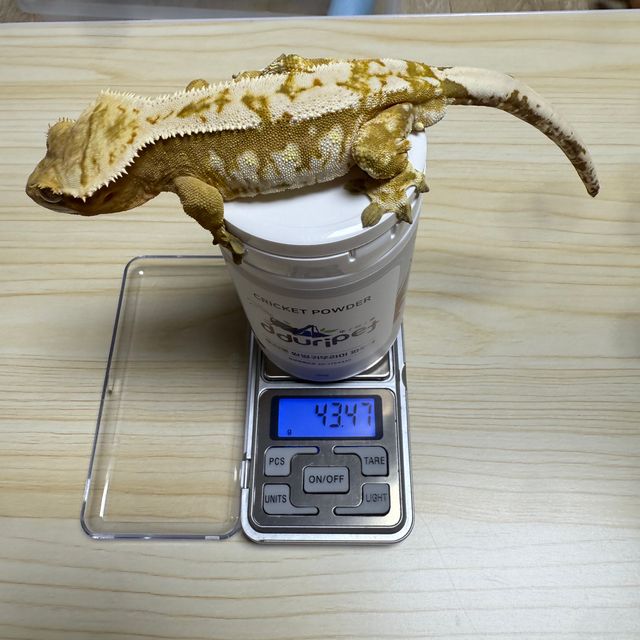 크림시클