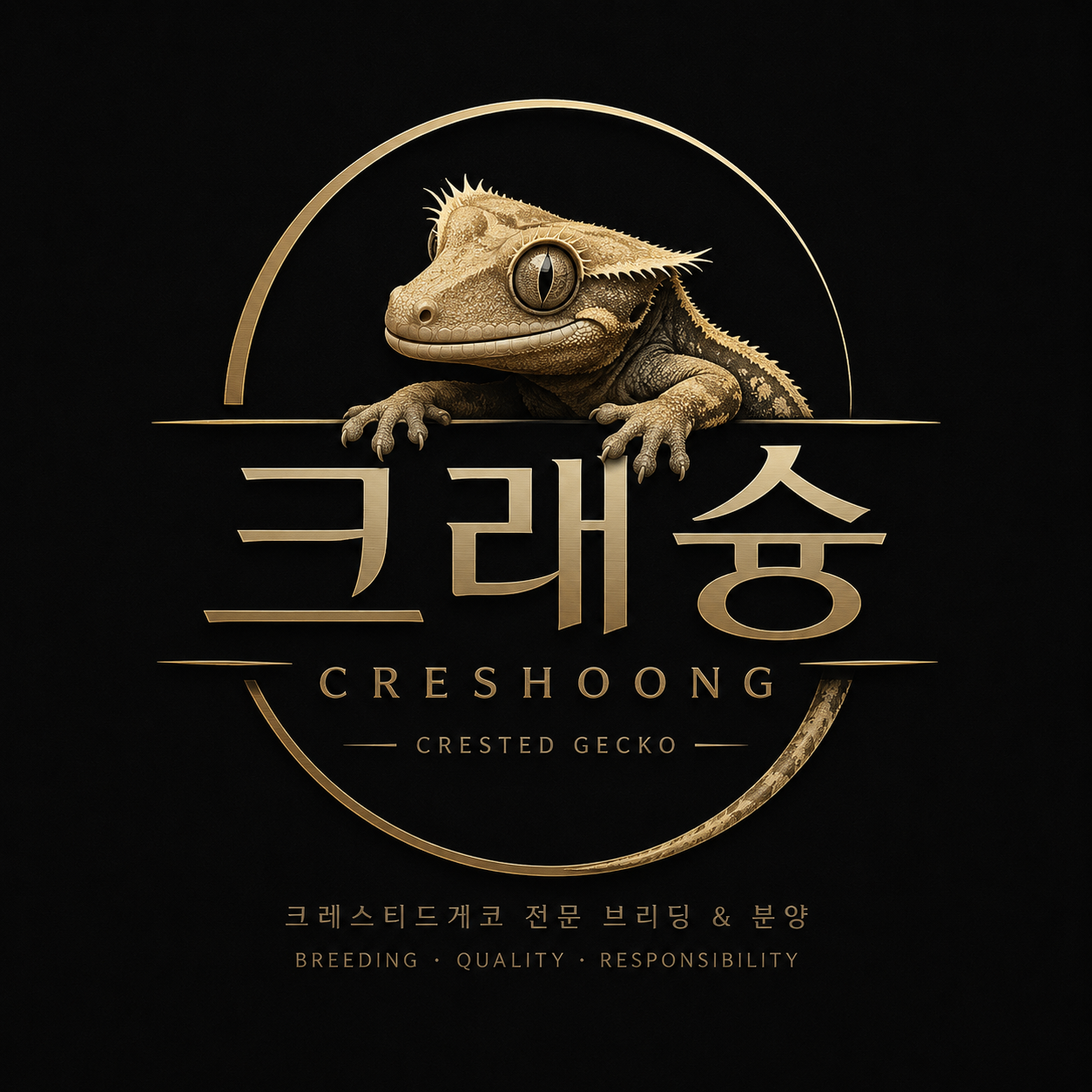크레슝대구
