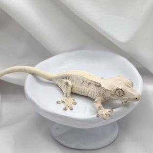랑방