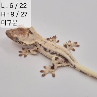 94찌