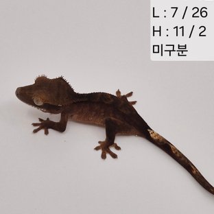 105찌