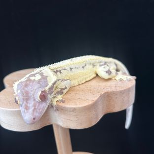 소금이