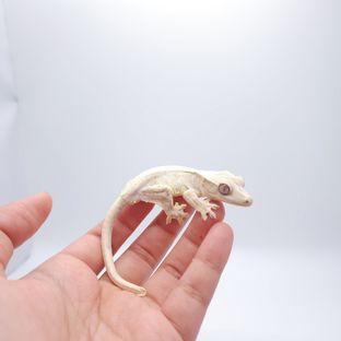 하모니