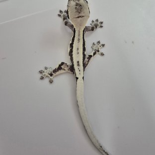 프라푸치노 아잔틱 화이트