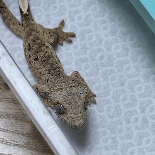 뽀얀1