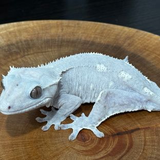 소금
