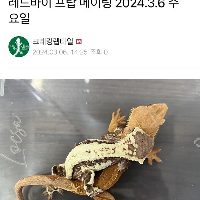 팬텀 프라푸치노 레드 다크