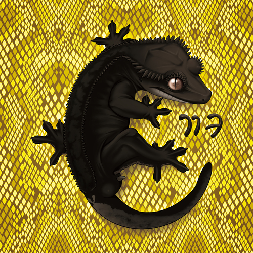 깜크