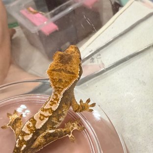 살랑_04