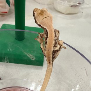 살설_03