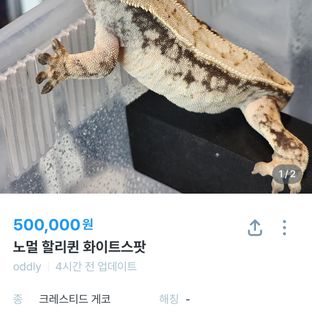 복덩