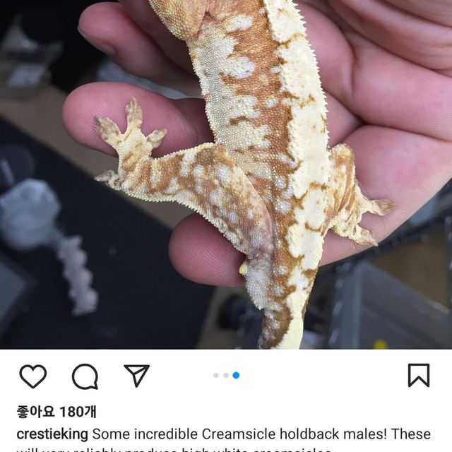 크림시클