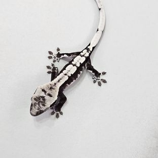 아잔틱