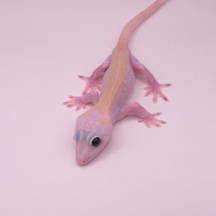 30핑