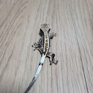 핀카푸