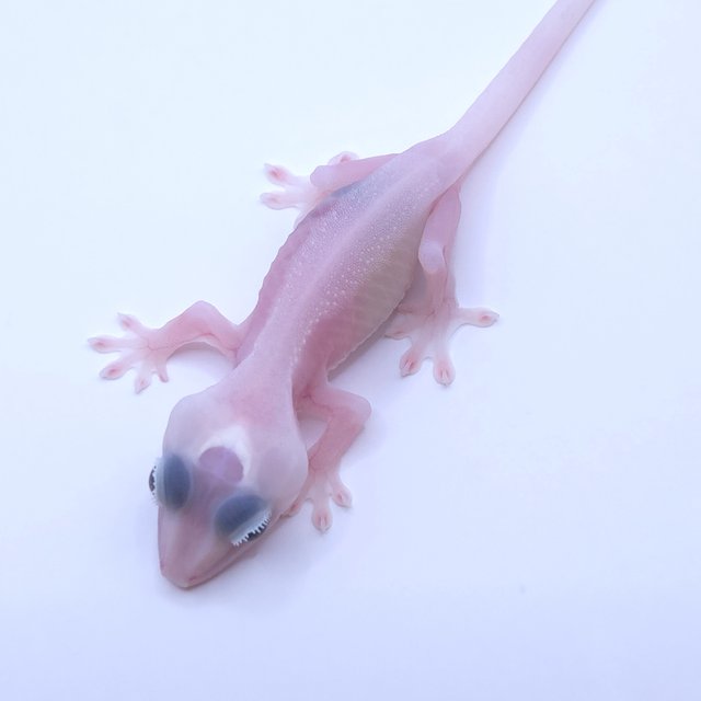 Super Hypo