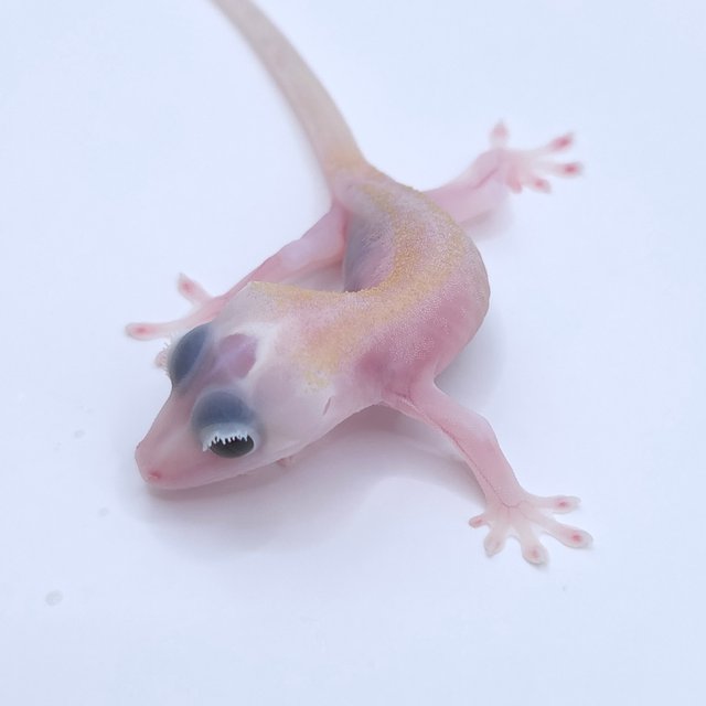 Super Hypo