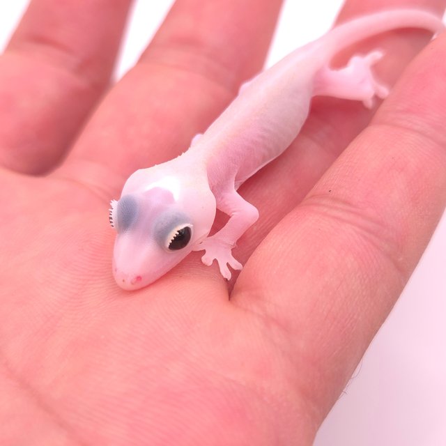 Super Hypo
