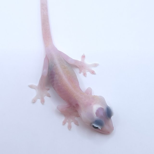 Super Hypo