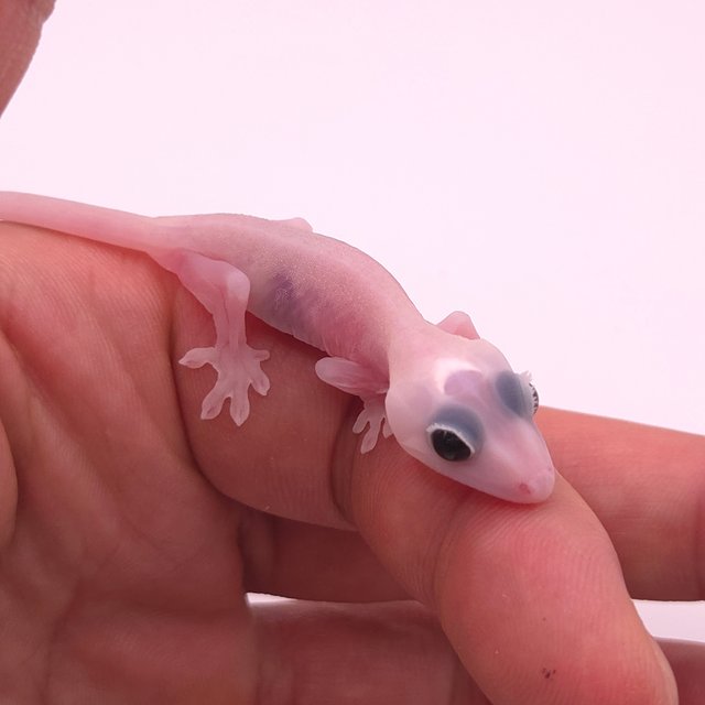 Super Hypo