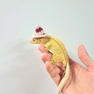 까르