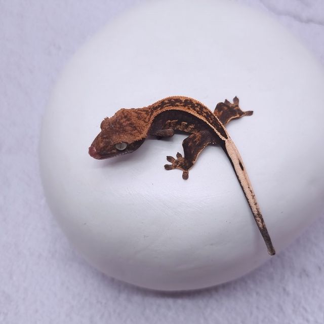 블랙 풀핀 엠티백