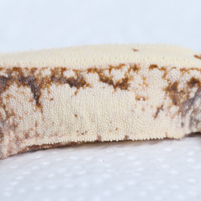 화이트스팟 노멀